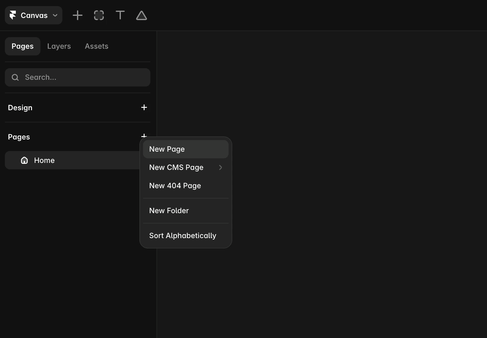Screenshot of a design interface displaying the 'Pages' tab. The sidebar shows a list of pages with a single entry labeled 'Home,' accompanied by a home icon.